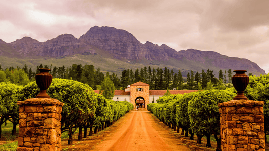 Ultimate Protection - Car Seat Covers near Stellenbosch - Any Car Seat Covers