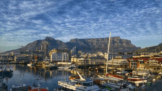 Ultimate Protection - Car Seat Covers near Cape Town - Any Car Seat Covers